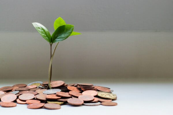 Investasi Hijau Solusi Keuangan Berkelanjutan